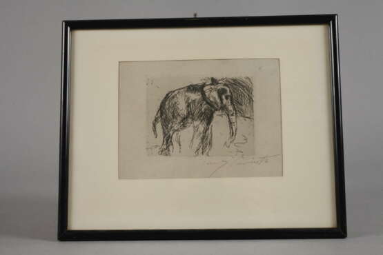 Prof. Lovis Corinth, Elefant - photo 2