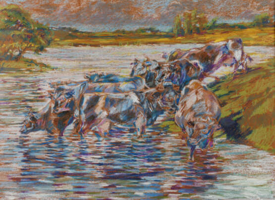 Kühe in der Schwemme - photo 1