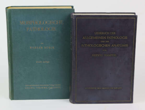 2 Bände Pathologie - photo 1
