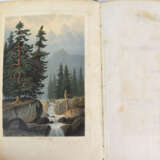 Naturstudien 1857 - фото 3
