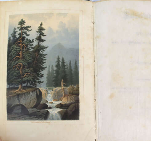 Naturstudien 1857 - Foto 3