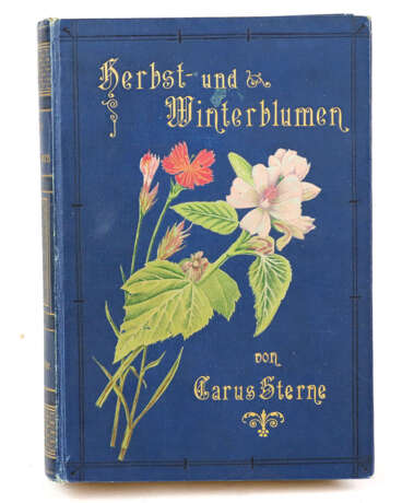 Herbst - und Winterblumen 1886 - photo 1