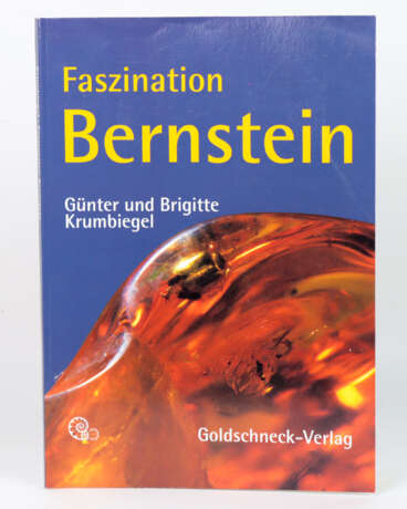 Krumbiegel, Faszination Bernstein - фото 1