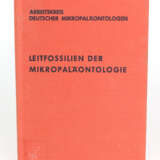 Leitfossilien Mikropaläontologie - Foto 1