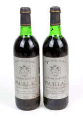 2 Flaschen französischer Rotwein 1981