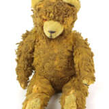 Teddy - фото 1