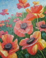 Турецкие маки