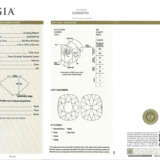 NINE UNMOUNTED COLORED DIAMONDS WITH GIA REPORTS - Foto 2