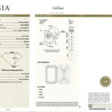 NINE UNMOUNTED COLORED DIAMONDS WITH GIA REPORTS - Foto 9