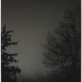 Untitled (Two Trees at Night) - фото 1