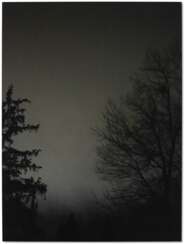 Untitled (Two Trees at Night)