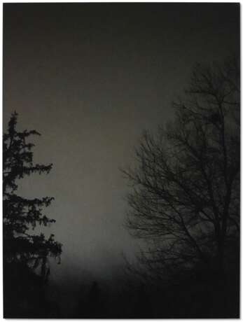 Untitled (Two Trees at Night) - photo 1