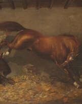 Ausschlagendes Ross Im Stall