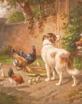 Hund Inmitten Von Hühnern