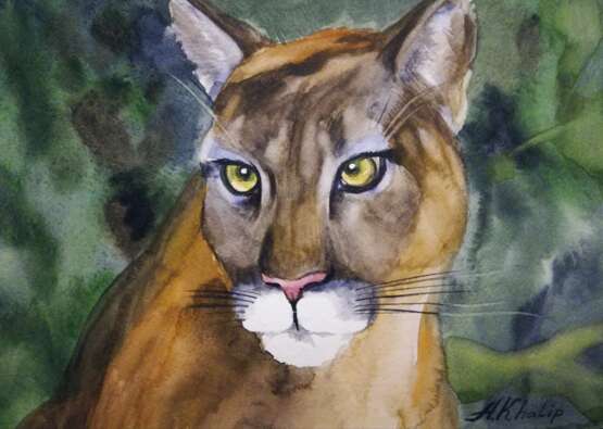 Drawing “Puma”, Paper, Watercolor, Realist, Animalistic, 2019 - photo 1