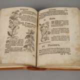 Schellenbergs Arzneibuch 1546/Michaels Feldarbeitsbuch 1545 - Foto 3