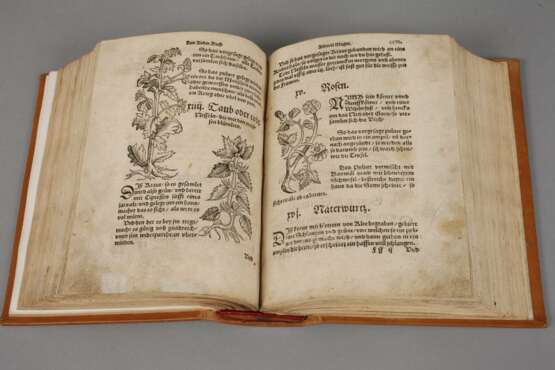 Schellenbergs Arzneibuch 1546/Michaels Feldarbeitsbuch 1545 - фото 3