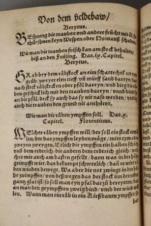 Schellenbergs Arzneibuch 1546/Michaels Feldarbeitsbuch 1545 - photo 4