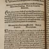 Schellenbergs Arzneibuch 1546/Michaels Feldarbeitsbuch 1545 - фото 4