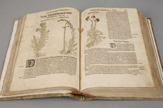 Bocks Kräuterbuch 1577 - photo 3