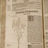 Bocks Kräuterbuch 1577 - Foto 4
