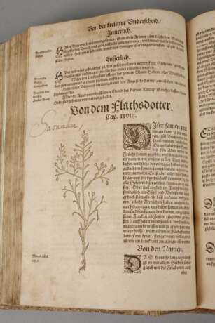 Bocks Kräuterbuch 1577 - фото 4