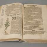 Bocks Kräuterbuch 1630 - фото 3