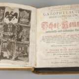 Woyts Medizinische Schatzkammer 1784 - photo 2