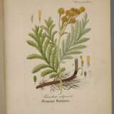 Arthus´ Handatlas der Heilpflanzen 1876 - Foto 2