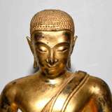 Buddha Shakyamuni - photo 7