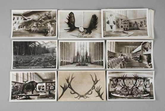 Postkarten Jagdausstellung Berlin - photo 1