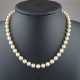 Perlenkette mit Silberschließe - champagnerfarbene Perlen mit s - Foto 1