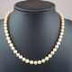 Perlenkette mit Goldschließe - einreihige Kette aus 56 Zuchtper - Foto 1