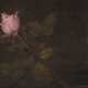 VICTORIA FANTIN-LATOUR (ATT.) 1840 - 1926 Rose Öl auf Hol - фото 1