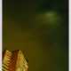 Zielony, Tobias (*1973) "Licht" 2013/2015, Fotografie/Inkjet, verso sign., aus der Serie: "Jenny Jenny", Griffelkunst, BM 47x32cm - Foto 1