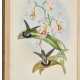 A Monograph of the Trochilidae or Family of Humming-Birds, London, 1849-87, 6 vols, green morocco gilt - фото 1