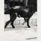 Christopher Wool. Untitled (for Parkett 33) - photo 1