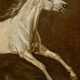 Otto Grashof. Study of a Galloping Grey Horse - Foto 1