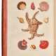 Georg Wolfgang Knorr | Deliciae naturae selectae. Dordrecht, 1771, illustrated "cabinets of wonders" - Foto 1