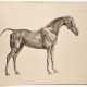 George Stubbs | The anatomy of the horse. London, 1766, a ground-breaking study of equine anatomy by one of the greatest artists of the eighteenth century - photo 1
