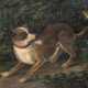 "Hund entdeckt den Wald", Tempra/Karton, unsign., 23x35 cm, hinter Glas und Rahmen mit Zierkante - фото 1