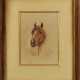 Armand POINT (1860-1932). Buste de cheval - photo 1