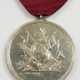 Braunschweig: Silberne Peninsula Medaille (1810-1914), für Offiziere. - photo 1