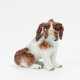 Meissen. Small bolognese dog - photo 1