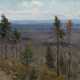 DENISOV-URALSKY, ALEKSEI (1863-1926) Hills and Woods , signed, titled in Cyrillic and dated "1909/3/VII". - Foto 1