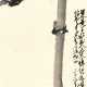 ZHAO SHAO’ANG (1905-1998) - фото 1