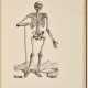 Vesalius's Icones anatomicae - photo 1