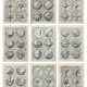 Jamnitzer, Wenzel 2 Bll. & 43 Kupferstiche aus dem Werk: Per… - фото 1