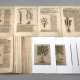 Hieronymus Bock, Sammlung Pflanzendarstellungen - фото 1