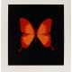 DAMIEN HIRST (B. 1965) - Foto 1